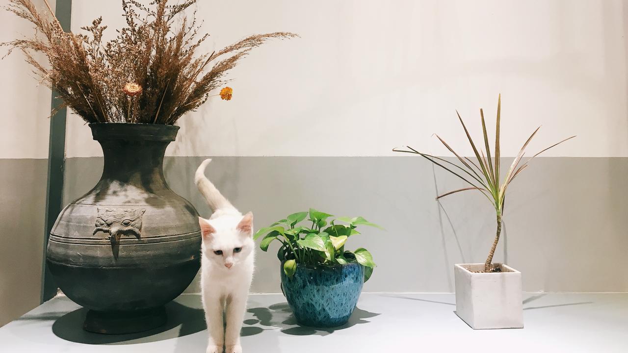 Home++ Xi'An Tây An Ngoại thất bức ảnh
