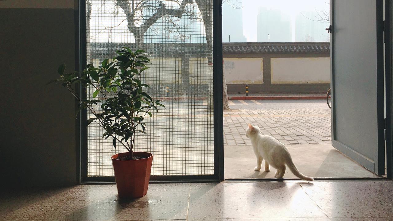 Home++ Xi'An Tây An Ngoại thất bức ảnh